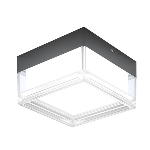 Down Light