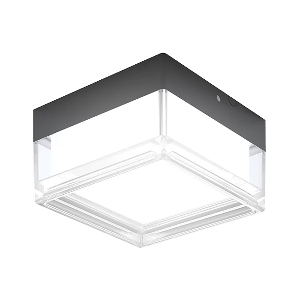 Down Light